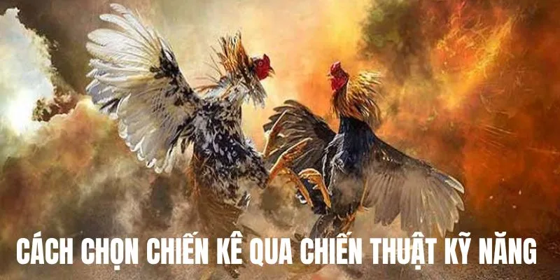 Chọn thần kê chất lượng thông qua kỹ năng, chiến thuật